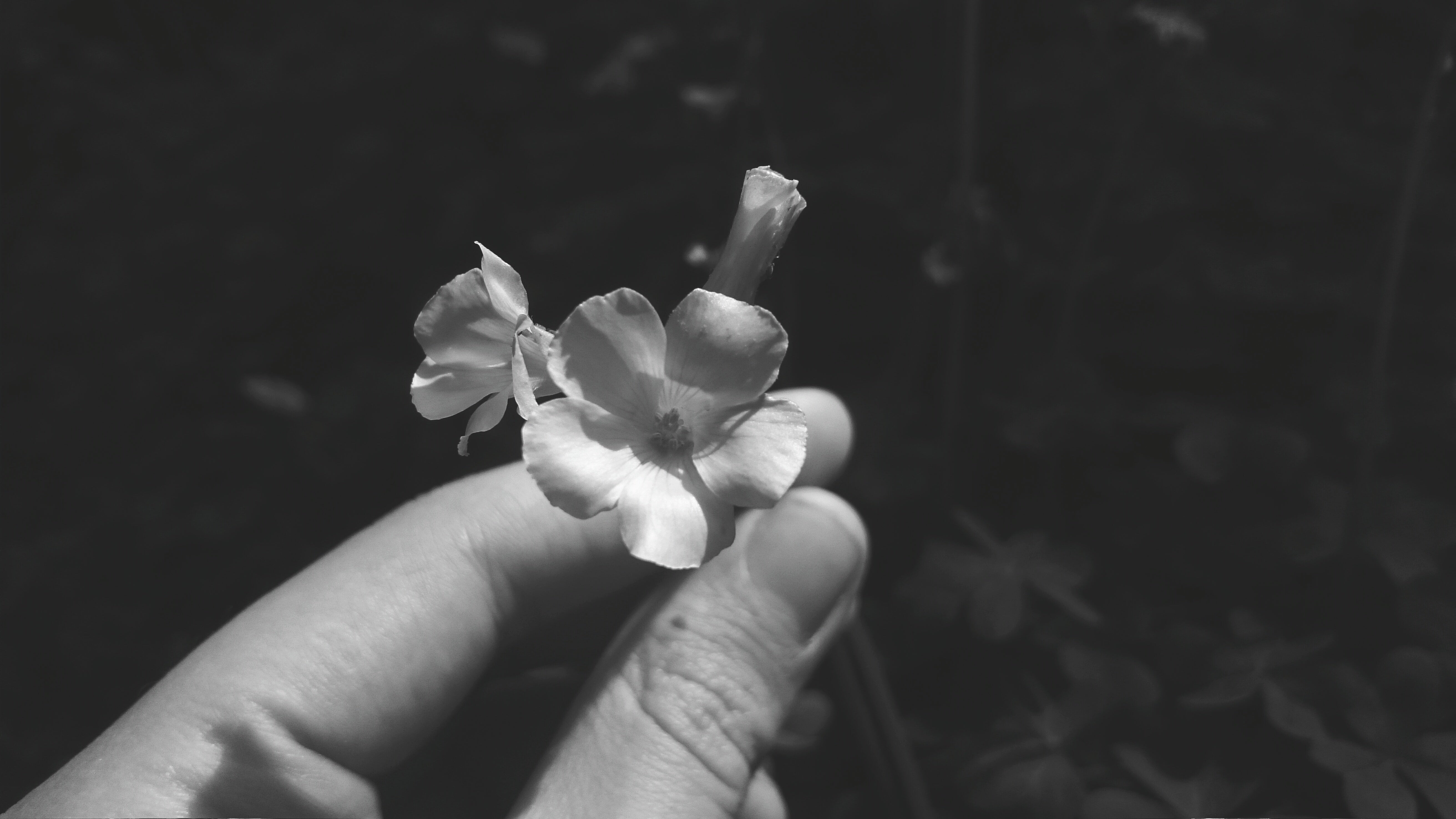 Joyas conmemorativas: un recuerdo íntimo y cercano